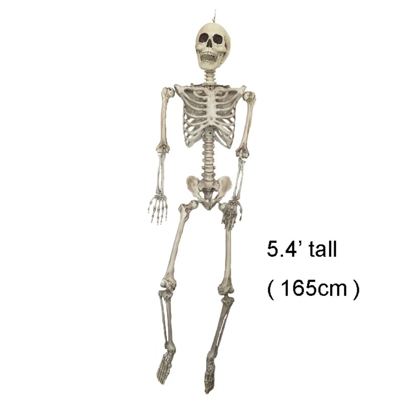 Набор из 4 скелетов 165 см 90 40 30 Скелетон для Хэллоуина 100% пластиковый каркас