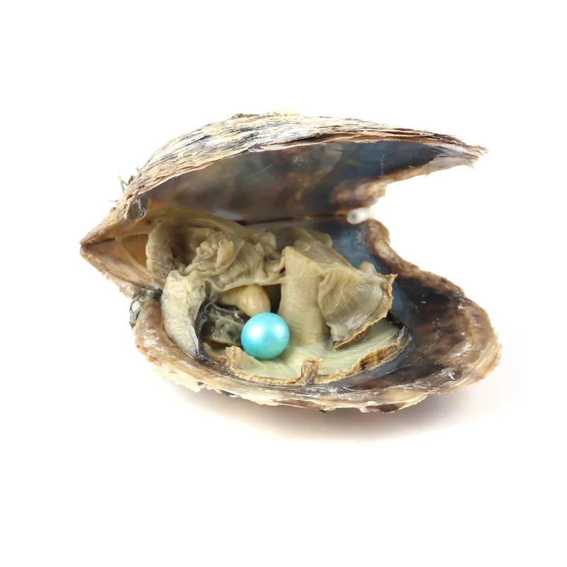 10 шт Oyster соленая вода с круглым жемчугом внутри случайный цвет(6,5-7,5 мм