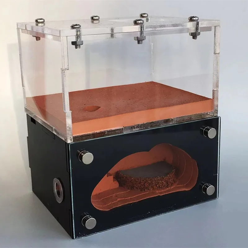 Новый экологический 2 комнатный мини муравей гнездо штукатурка дом для детей