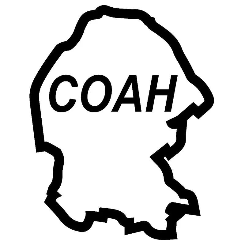 Автомобильная наклейка с рисунком котила мексиканской карты размером 12 2x15 6 см