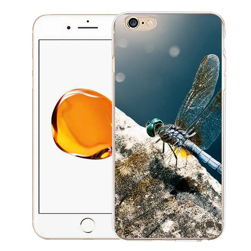 Qmswei ТПУ Ясно Телефон чехол для iPhone 6 г 6S 7 8 Plus X Мягкие попугай Dragon Fly силиконовые
