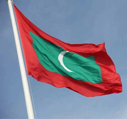 

FREE shipping Maldives Flag 150x90cm custom flag banner at all size national flags