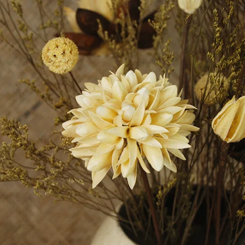 5 шт./партия Immortalized цветок магнолия сушеные цветы Вечерние Декорации для свадьбы