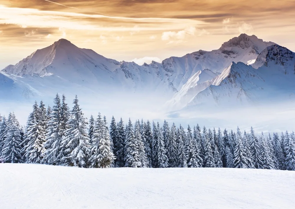 

VinylBDS Natural Scenery Photography Backdrop Snow Studio White Snow Mountain Cloud Background For Children Photo