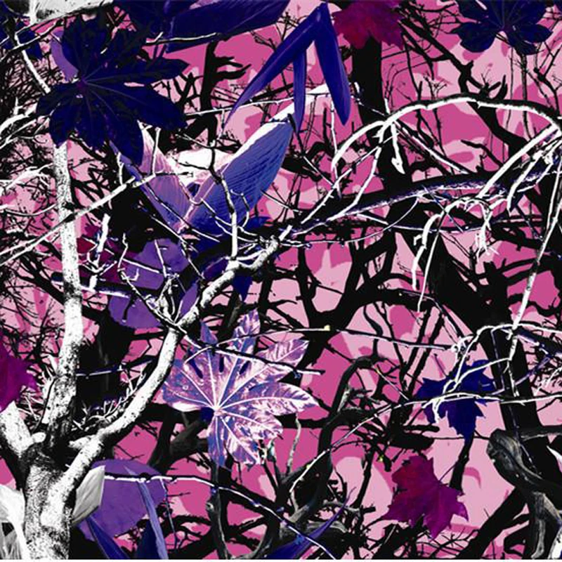 

Гидрографическая пленка CSMR9025B, 0,5 МХ, 2 м/10 м, с изображением фиолетовых деревьев