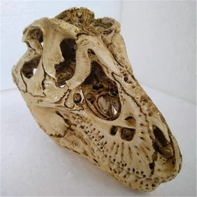 

Small tyrannosaurus rex Resin skull model Furnishing articles free shipping