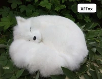 big real life white fox model plasticfurs simulation sleeping fox doll gift about 27x12x27cm xf1789