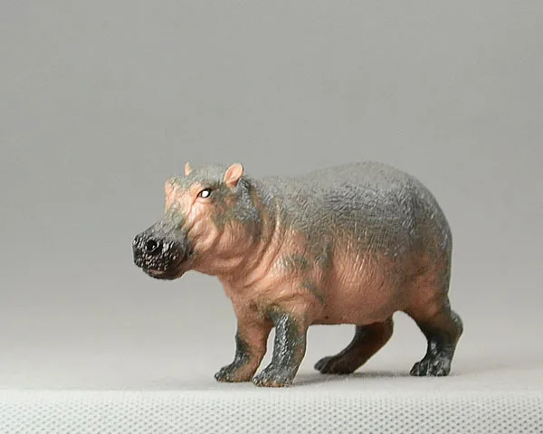 Анимас! Модель животного гиппопотом|anima|animal modelanimal |