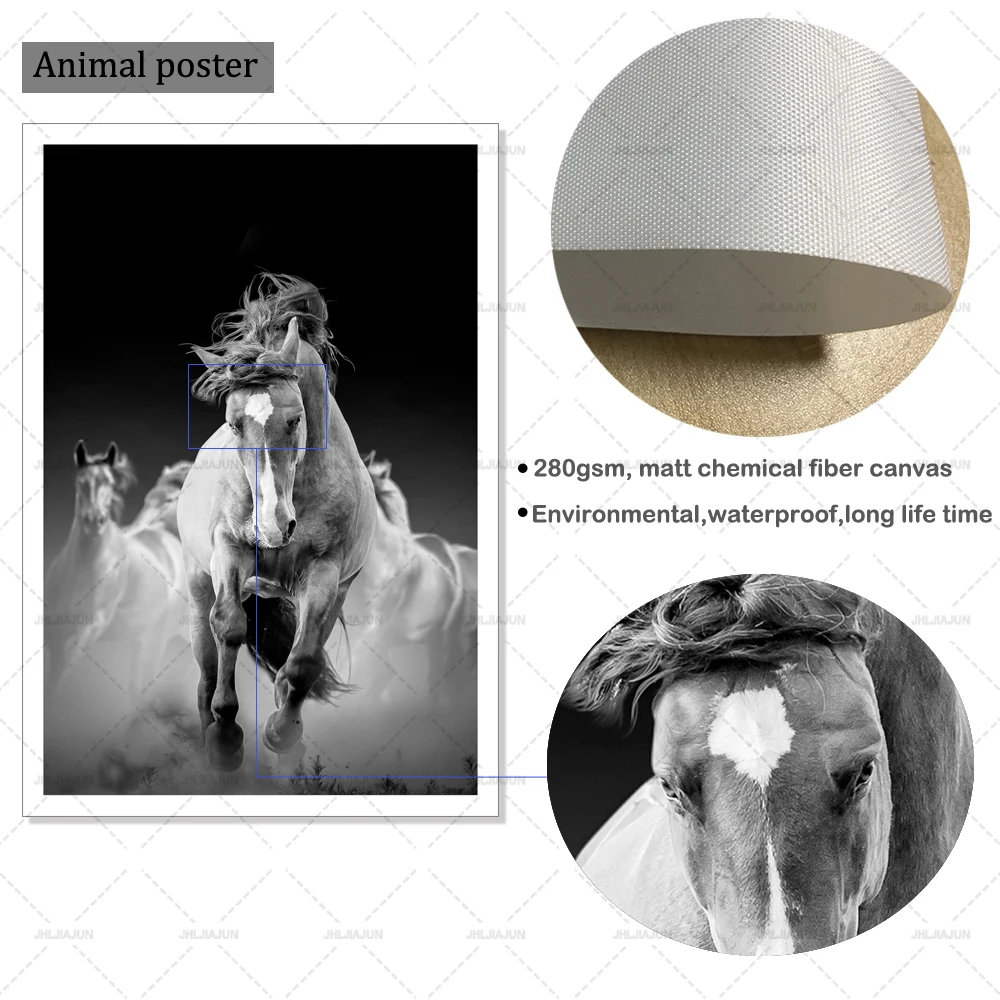 Black And White Color Horses Wall Art Canvas Abstract Animals Paintings On The Modern Horse Posters For Living Room Cuadros | Дом и сад