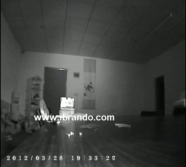 Бесплатная доставка недорогая Автомобильная камера CCD с ИК ночным видением для