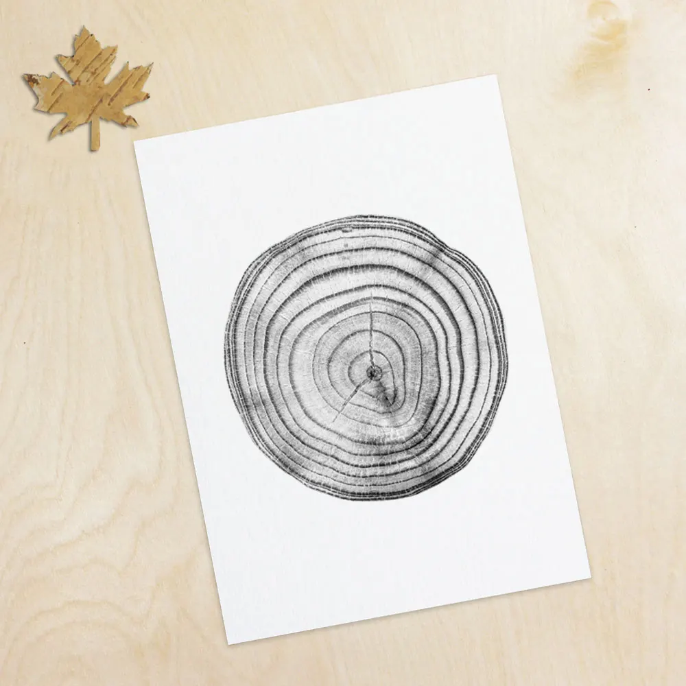 Дерево пень кольца стена для вдохновения искусство домашний декор дерево