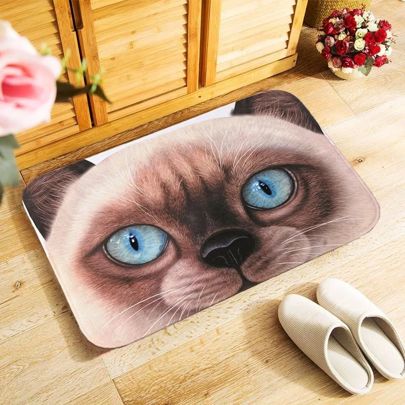 С большими кошачьими мордами печатных 40x60 см наружный входной коврик небольшой площади коврик для спальни кухня Холл коврик антискользящий коврик для двери MU