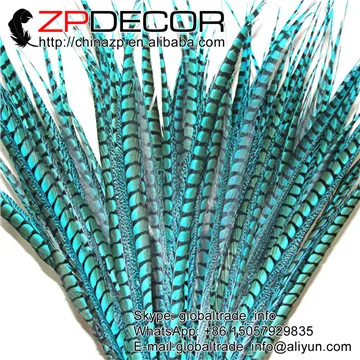 Новинка! zpdecor 100-110 см 20 шт./лот Премиум качество окрашенные красочные леди Амхерст перьями фазана для карнавала Декор Перья - Цвет: turquoise