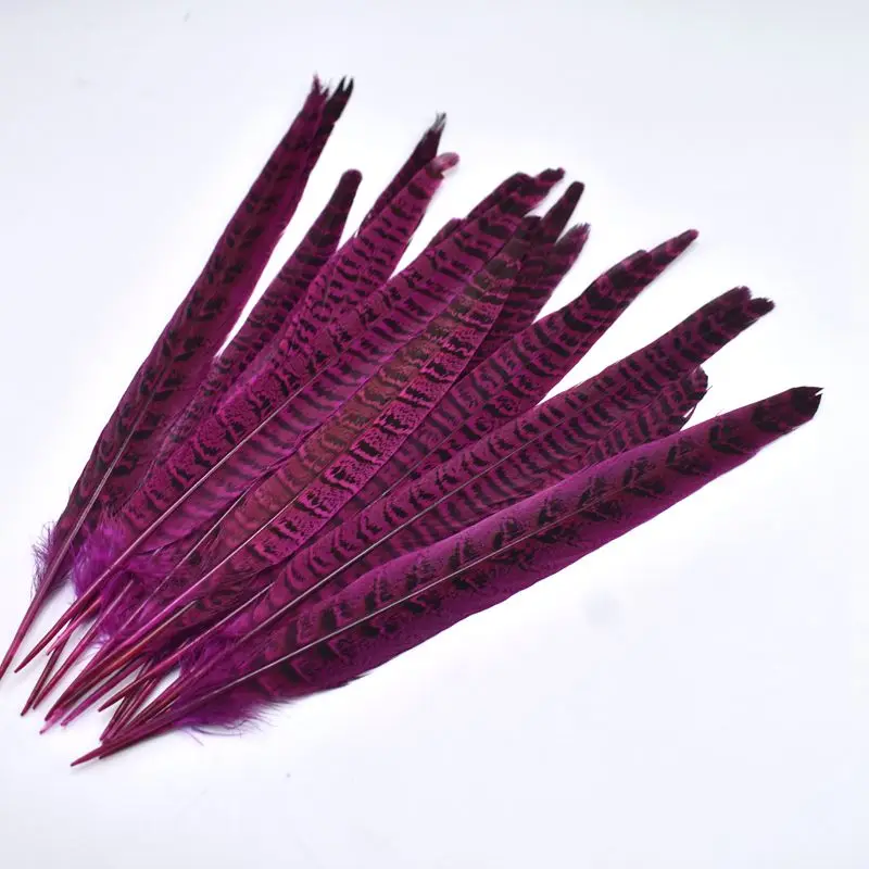 Rose red 10 шт./лот натуральные перья из хвоста фазана для рукоделия 10-12 дюймов красочные перья для изготовления украшений украшения для вечеринок своими руками Шлейфы - Цвет: Rose red