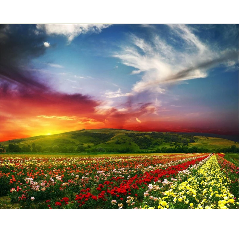 5D Home Decor Diy Diamond Painting Cross Stitch Flower Sea Embroidery Mosaic | Дом и сад