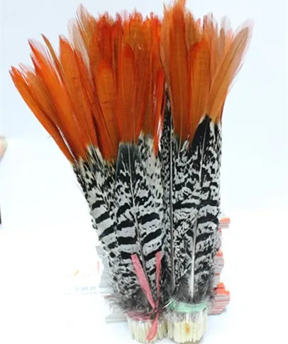 

Wholesale perfect 20pcs high quality natural Lady Amherst Pheasant Feathers 10-12inch/25-30cm Decorative diy