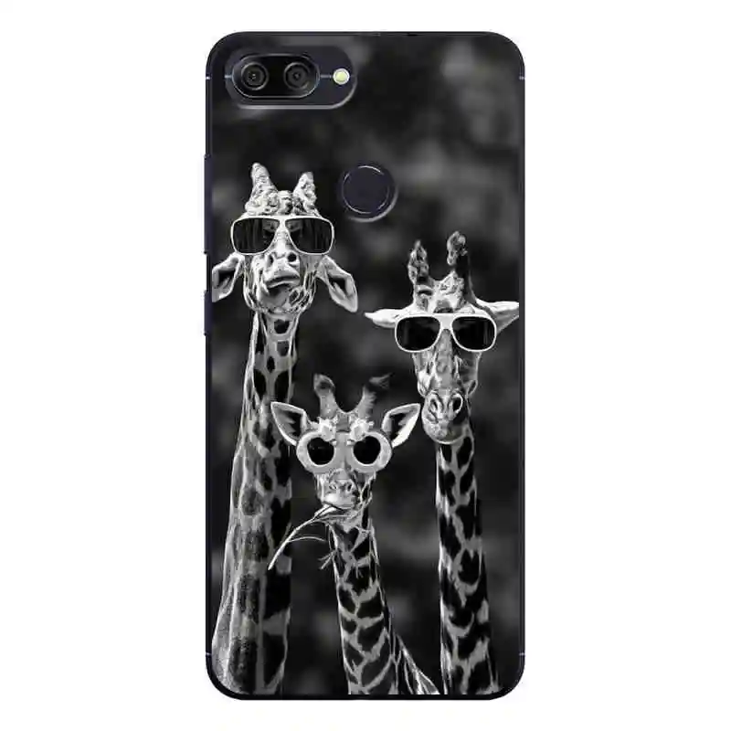 For ASUS ZenFone Max Plus M1 ZB570TL Case Phone Back Cover Painted Asus 5.7" Protection Shell Fundas |