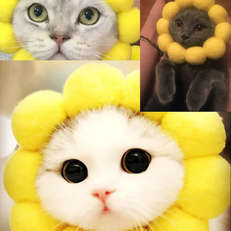 Шляпа с цветком для щенка кошки костюмированной вечеринки аксессуары головной