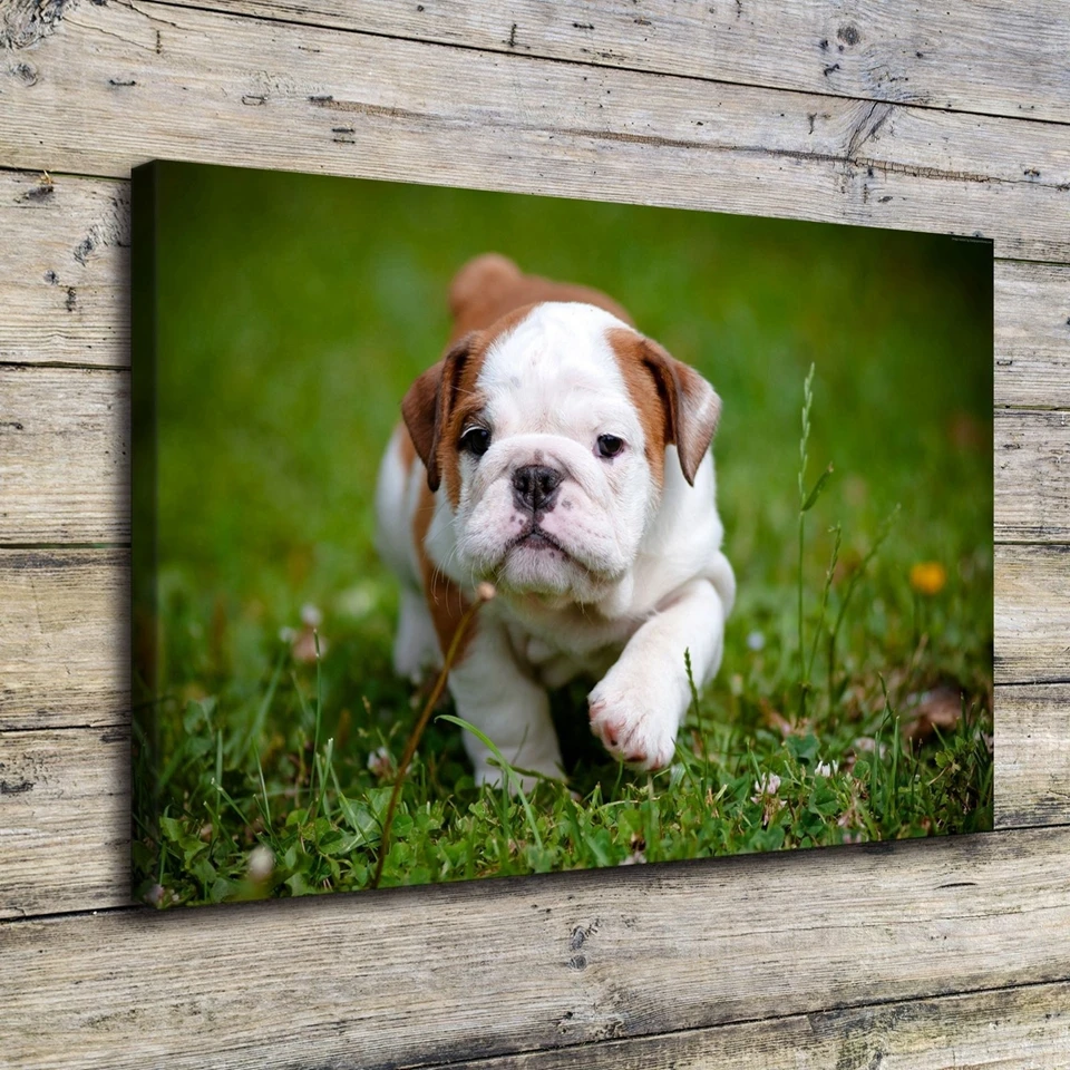 Wall Art Печать холст фотографии коридор цельнокроеное платье милый защитный чехол
