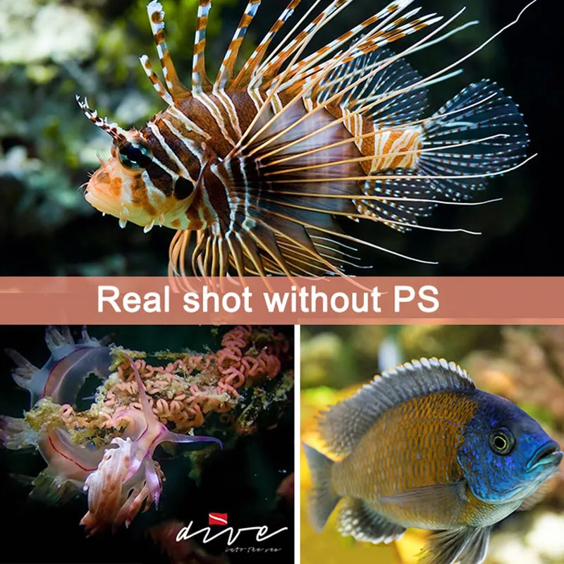 Водонепроницаемый подводный светильник ARCHON 2600lm УФ/красный/белый свет для