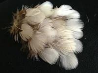 200pcslot4 6cm rare white lady amherst natural pheasant feathers for craftmillinery