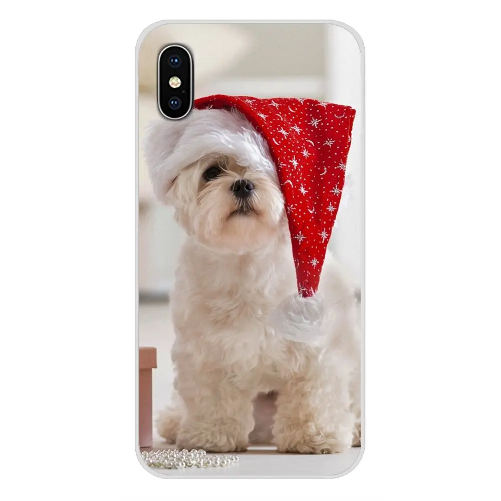 Белый Мальтийский щенок собака для Samsung Galaxy S3 S4 S5 Mini S6 S7 Edge S8 S9 S10 Lite Plus Note 4 5 8 9