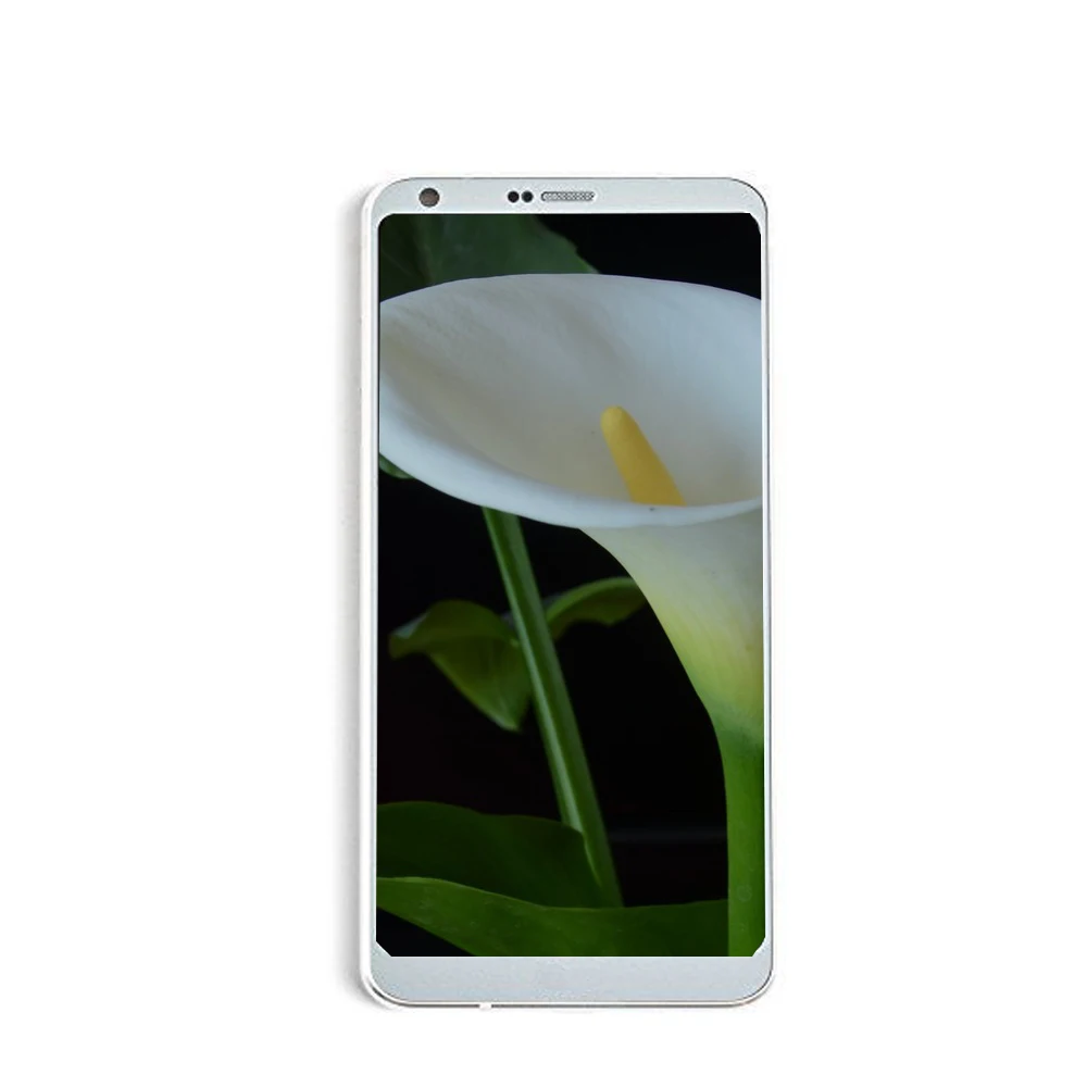 RTGparts LCD кодирующий преобразователь сенсорного экрана в сборе с рамкой для LG G6 H870