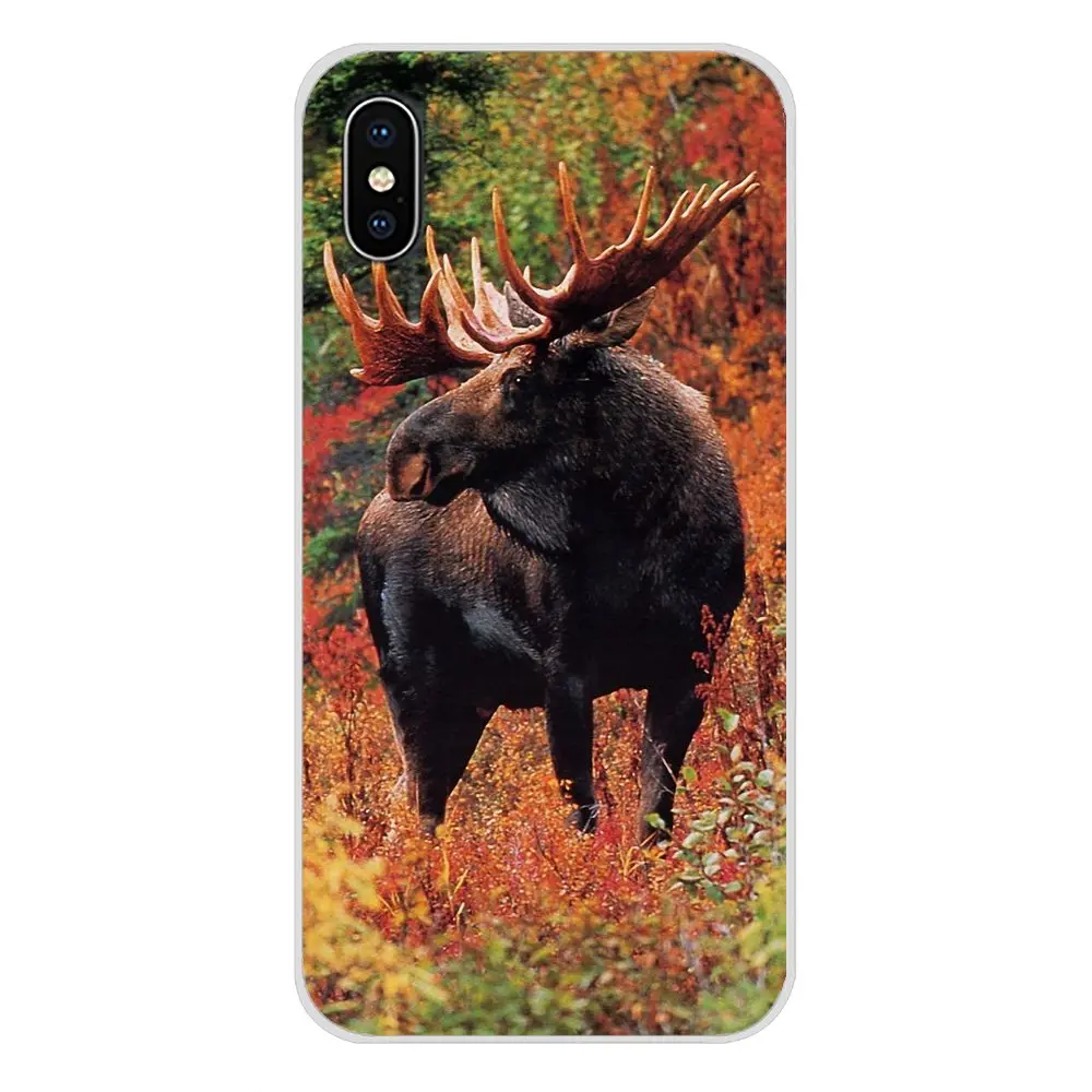 Животное Аляска Булл Moose аксессуары чехол для телефона Чехлы Apple iPhone X XR XS MAX 4 4S 5 5S 5C
