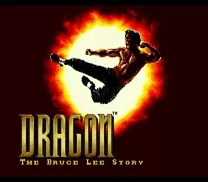 Игровой картридж Dragon the Bruce Lee Story 16 бит MD для консоли MegaDrive Genesis|dragon bruce lee|dragon brucedragon