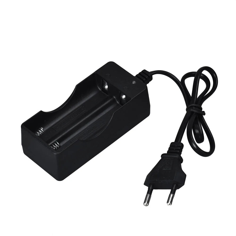Ловкий 110V 220V AC двойной Зарядное устройство по стандартам ЕС/штепсельная вилка
