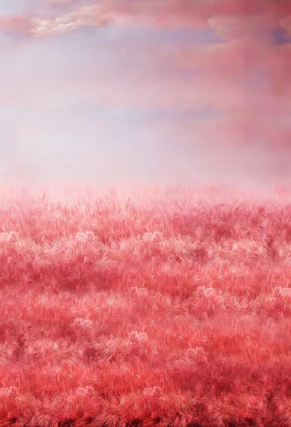 Фотофон Colorwonder с масляной краской розовая трава 5x7 футов голубое небо розовыми