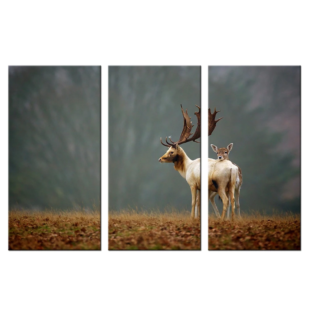 Холст печать дикое животное олень настенная живопись HD Печать лося Картина 3 шт