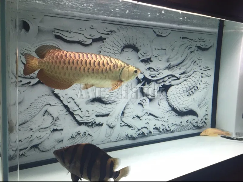 Аквариумное фоновое панно Mr.Tank HD с 3D эффектом серого дракона Камео из ПВХ для украшения стен аквариума. - Фото №1