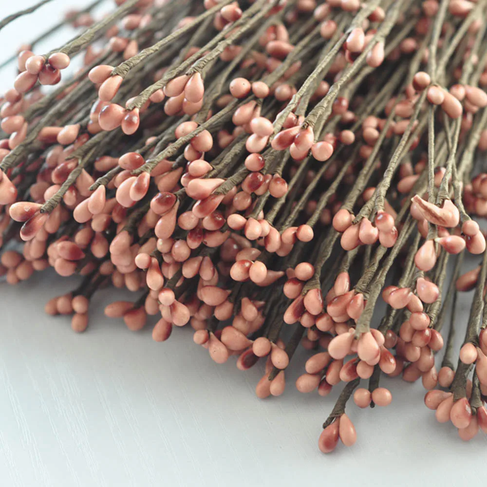 Растительный стебель виноградной лозы темно лосося ягоды Pip Осенний венок