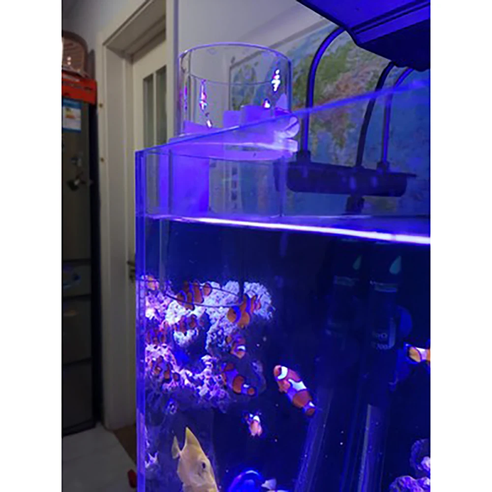 Акриловый Аквариум Кормление круг рыба кормушка висячий цилиндр для рыб