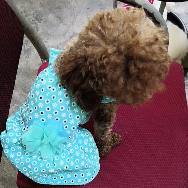 2019 Summer Small Dog Dress Comfortable Thin Pet Cat Puppy Floral Princess Chihuahua Clothes Cotton Skirt XS S M L XL | Дом и сад