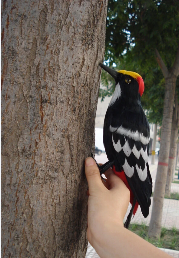 

30CM feathers woodpecker bird hard model,polyethylene&furs handicraft Figurines&Miniatures decoration toy gift a312