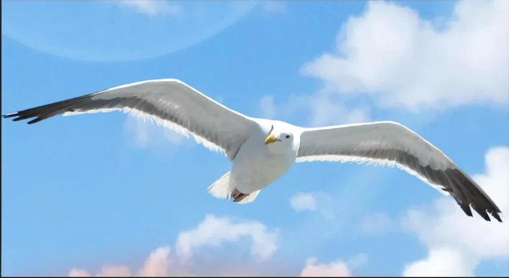 WDBH Пользовательские настенные 3d фотообои Средиземноморский Природный кокосовый