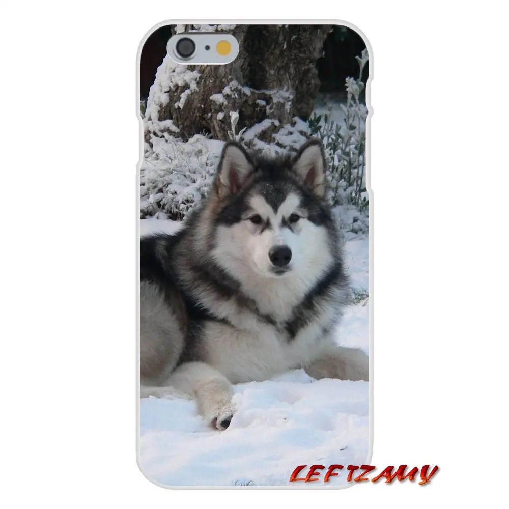 Для iPhone X XR XS MAX 4 4S 5 5S 5C SE 6 6S 7 8 Plus ipod touch Alaskan Malamute Siberian husky аксессуары Чехлы |