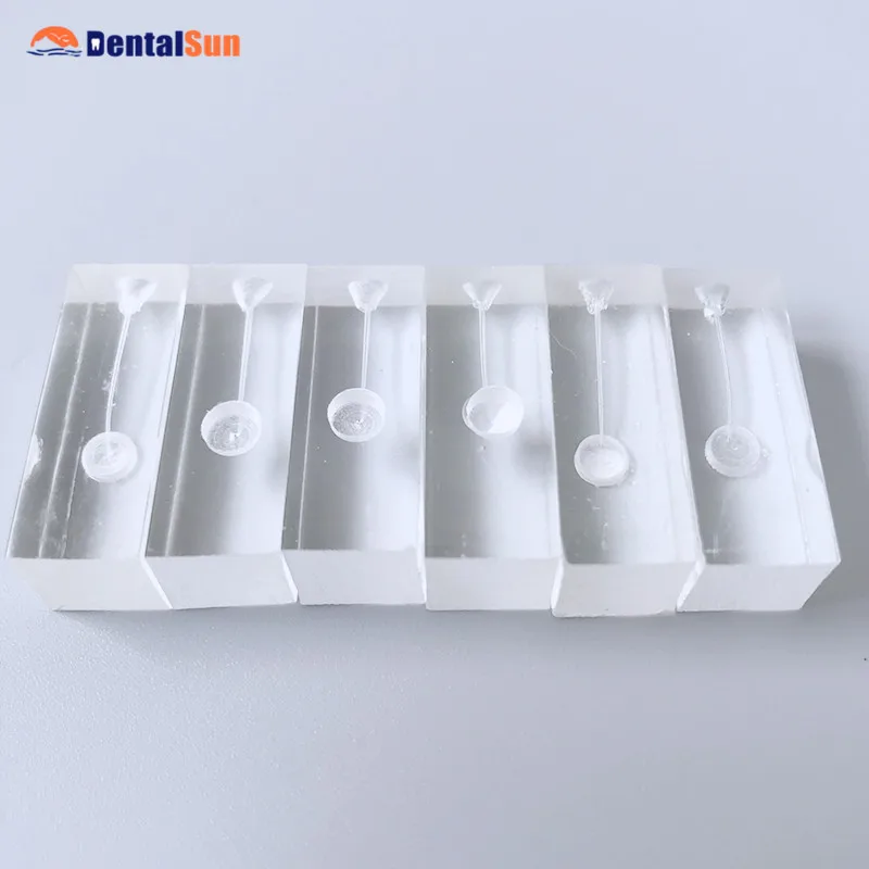 Стоматологический тренировочный блок M8001|Отбеливание зубов| |