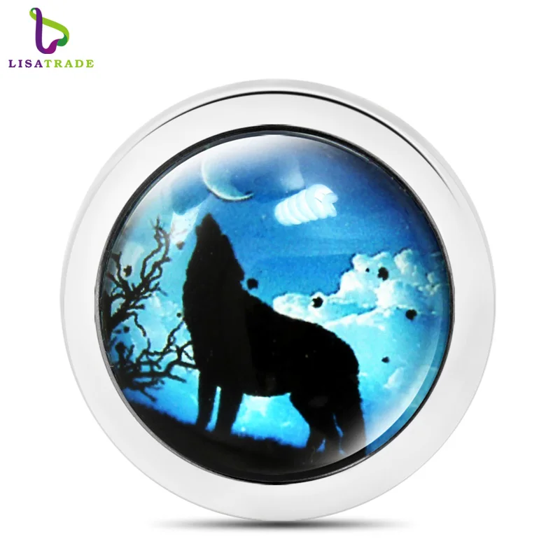 5 шт./лот кулон в виде монет из волчьего стекла для Moneda медальон/монетница/диск