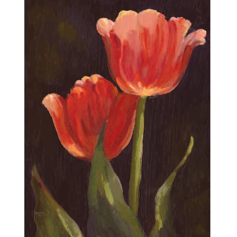 

Happymems 11*14in Or 16*20in DIY 5D Round Tulip Flower Dimond Painting Full Square Craft