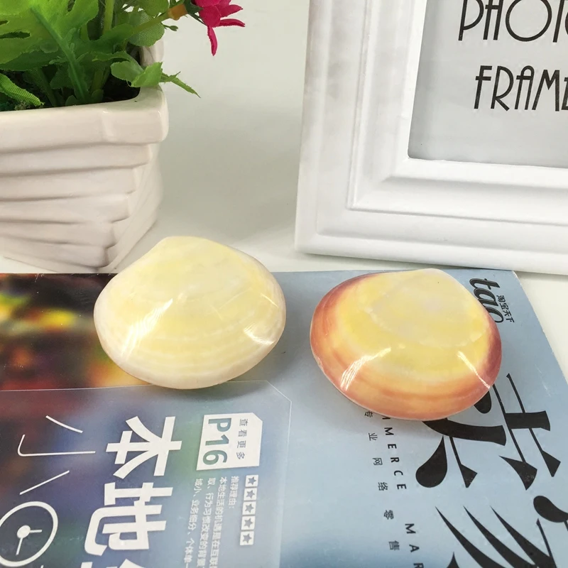 Натуральный conchas Рождественский подарок океан Декор порошок светильник ракушки