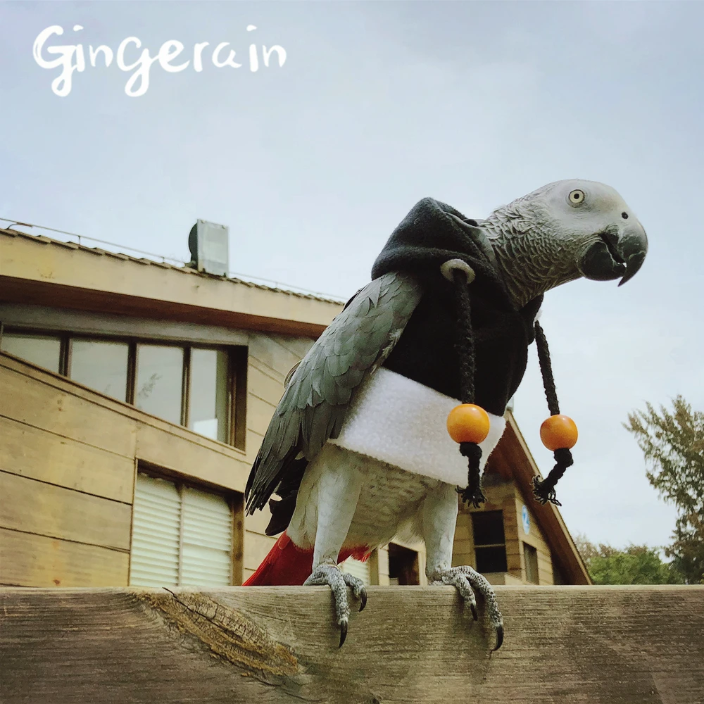 Gingerain одежда с птицами попугай мимолетное время оригинальная ручная работа на