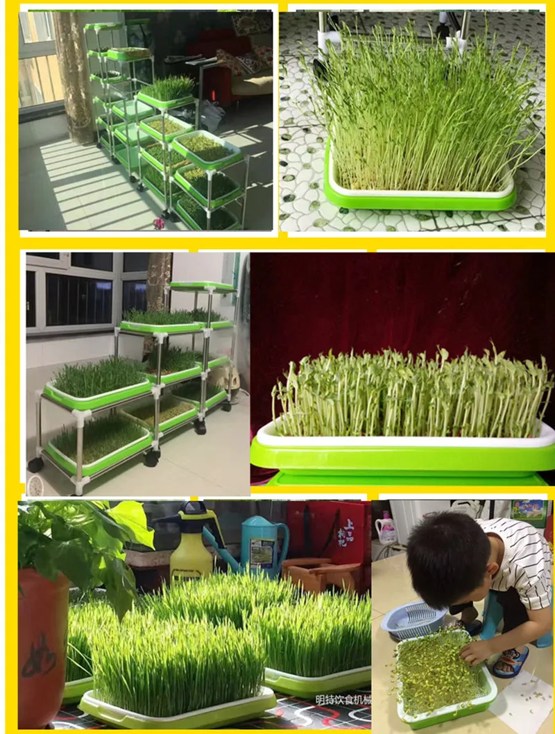 Hydroponics Seedling Tray Sprout Plate Hydroponics System To Grow Nursery Pots Tray Vegetable Seedling Pot Plastic Nursery Tray