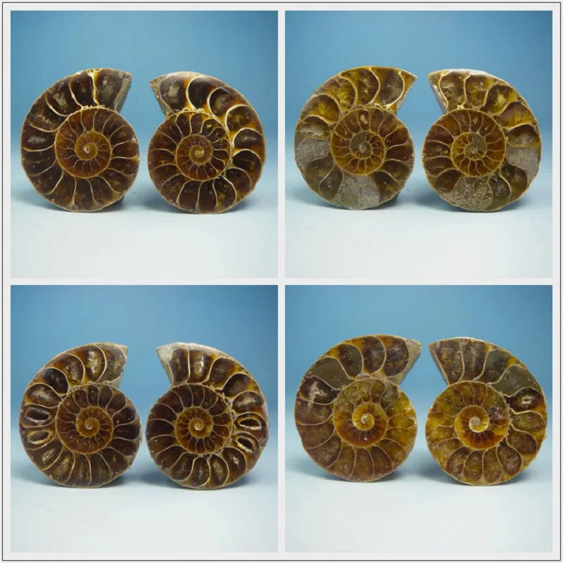 Пара естественных фотографий аквариумные камни лечебные 21 мм-25 мм | Дом и сад