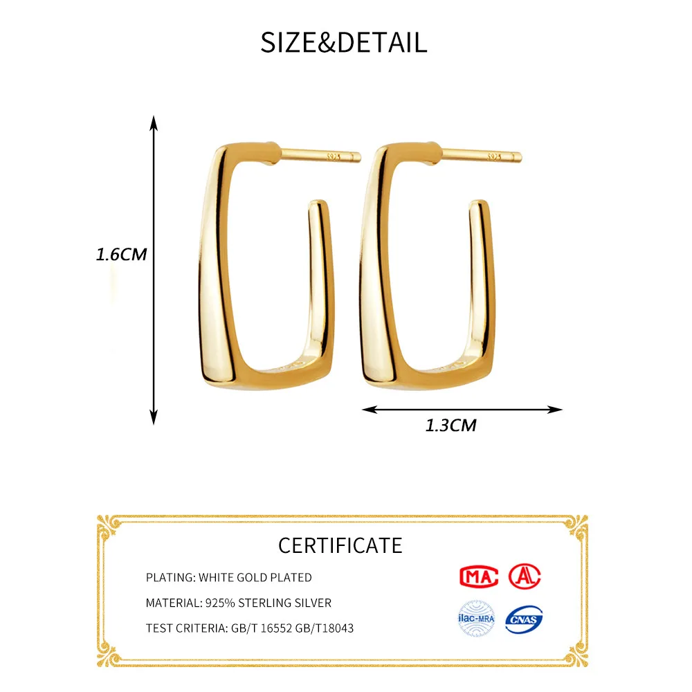INZATT Real 925 серебро пробы геометрические серьги-кольца для модных женщин вечерние минималистичные ювелирные изделия Модные аксессуары