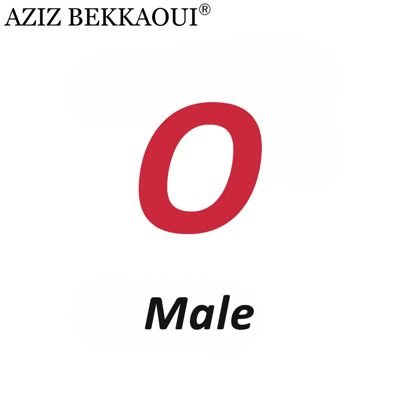 Male O AZIZ BEKKAOUI DIY обслуживание на заказ специальный зимний подарок для друзей, любимых подарок на день Святого Валентина Прямая поставка 3040-49 - Окраска металла: Male O