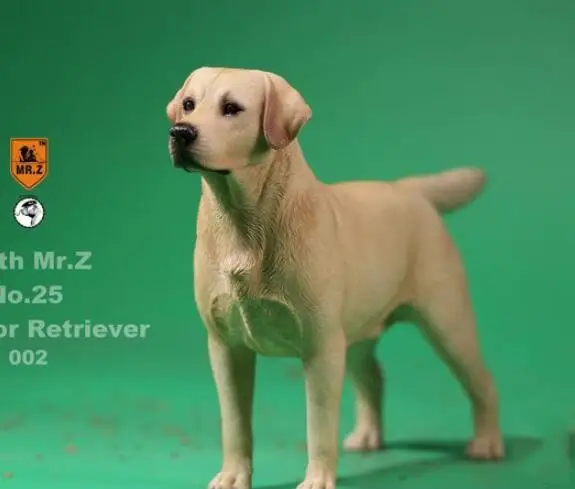 002 DOG MRZ025 1/6 Масштаб модели животных сцена acc 4 вида цветов Mr. z № 25 ретривера Лабрадора собачьи игрушки модели 001/002/003/004 для коллекции - Цвет: 002 DOG