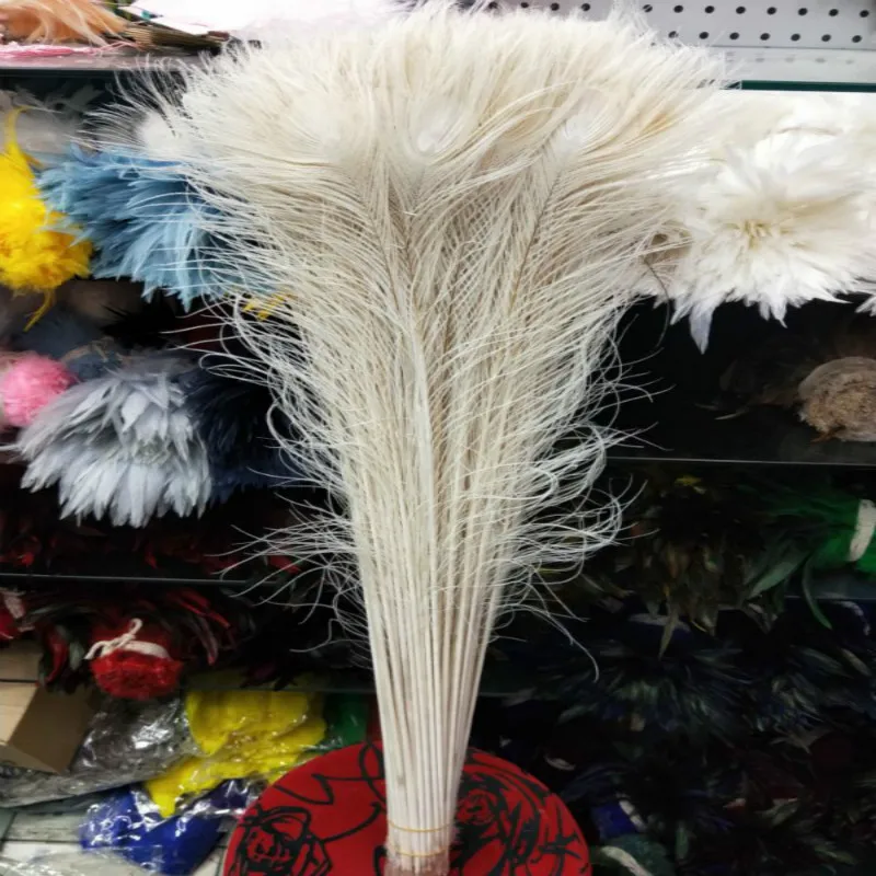 

Wholesale 500pcs beautiful white peacock feather eye 70-80cm / 28-32inch decorative celebration stage performance diy